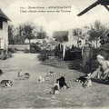 Aspach-le-Haut-chats-1915