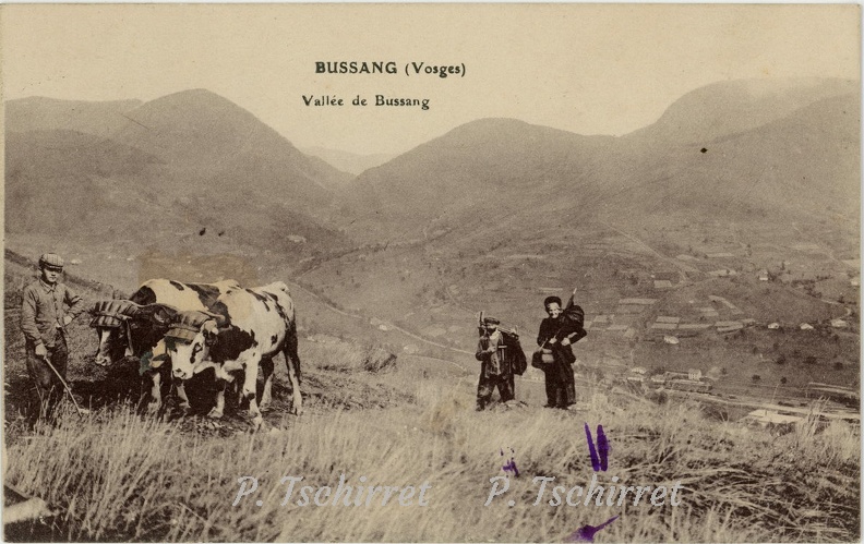 Bussang-vallee-Charrue-a-boeufs-1925-r