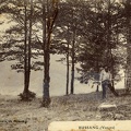 Bucheron-a-la-Croix-de-Bussang-1914a