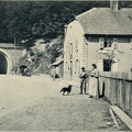 Col-de-Bussang-chien-1909-1