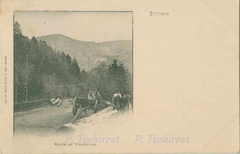 Route-du-col-de-Bussang-vers-Wesserling-1900