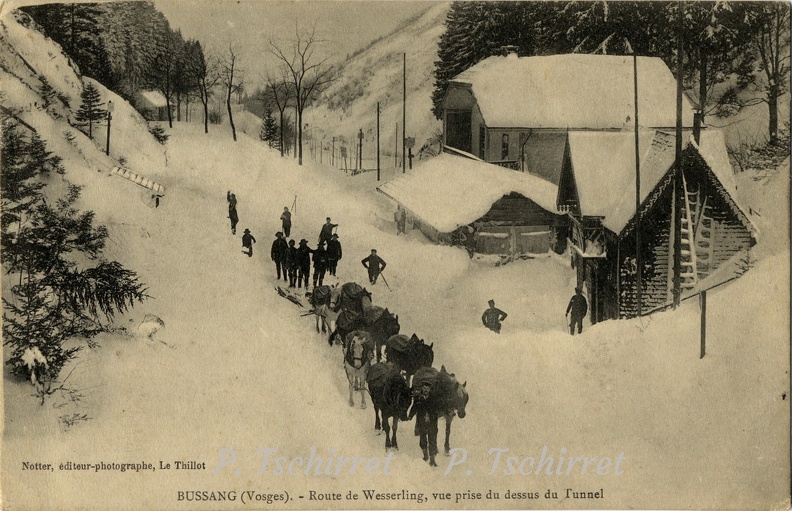 Col-de-Bussang-convoi-de-mulet-1908