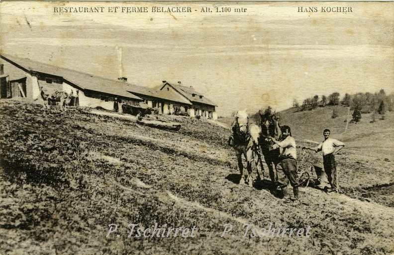 Ferme-du-Belacker-10