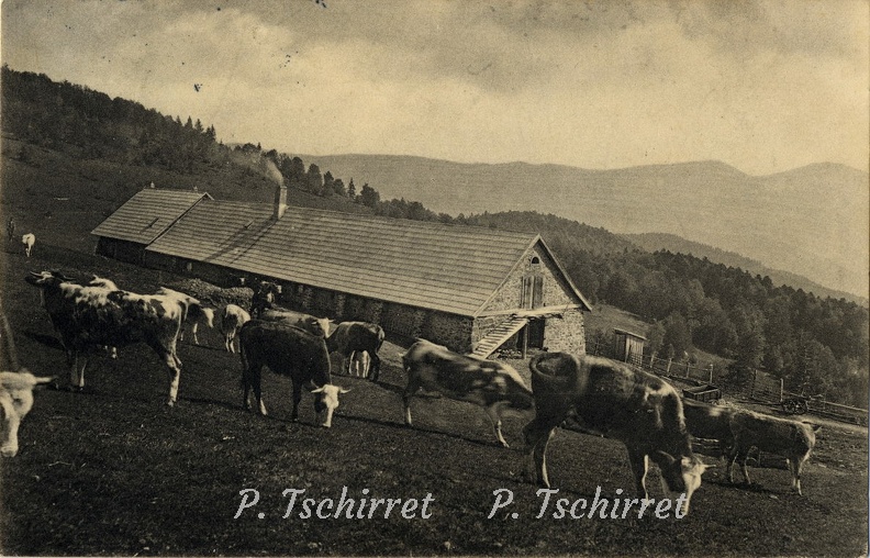 Ferme-du-Belacker-1911-1
