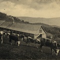 Ferme-du-Belacker-1911-1