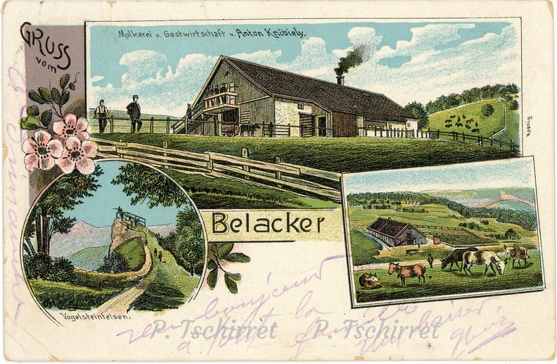 Ferme-du-Belacker-Kniebiely-1907-r