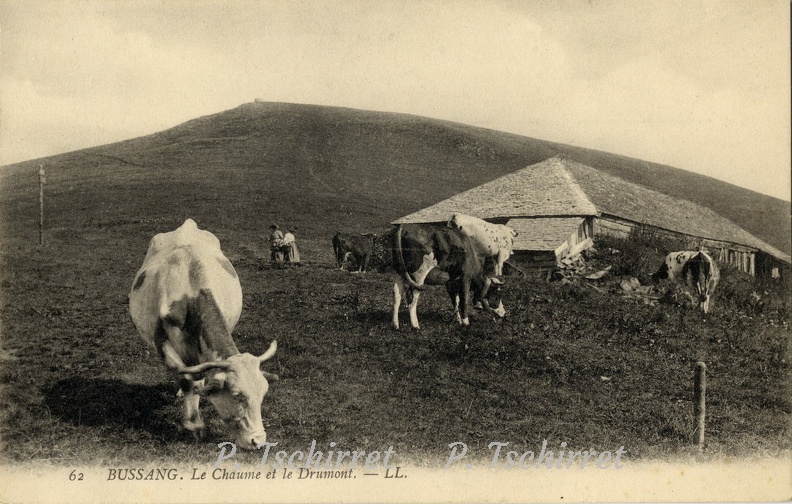 Drumont-ferme-1914-2