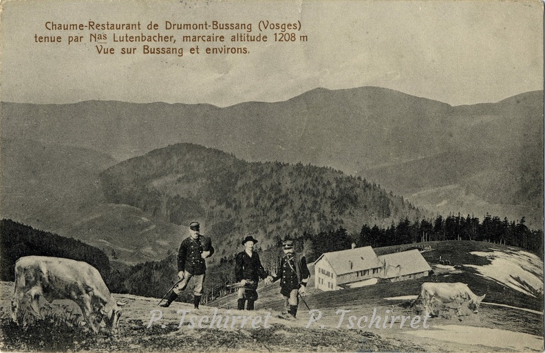 Drumont-ferme-1914-5