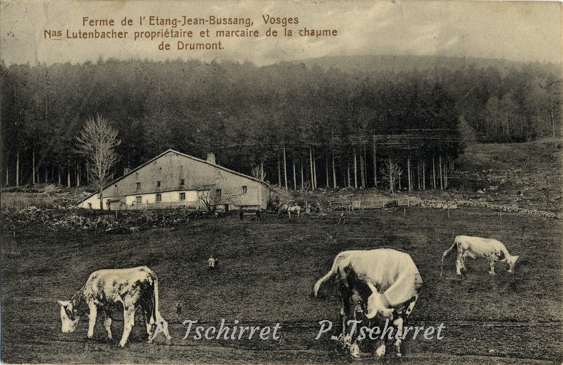 Drumont-vue-sur-ferme-Etang-Jean-1913-1.jpg