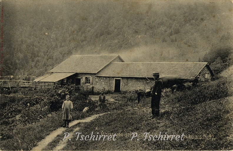 Ferme-du-Gazon-Vert-1911-2.jpg