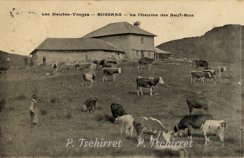 Chaume-des-Neufs-Bois-1909.jpg