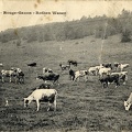 Ferme-du-Rouge-Gazon-1906