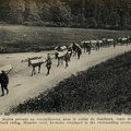 Grand-Ballon-montee-vers-Goldbach-1915-1