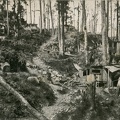 04-N5-Hartmannswillerkopf-cote-allemand-Abris-1914 r