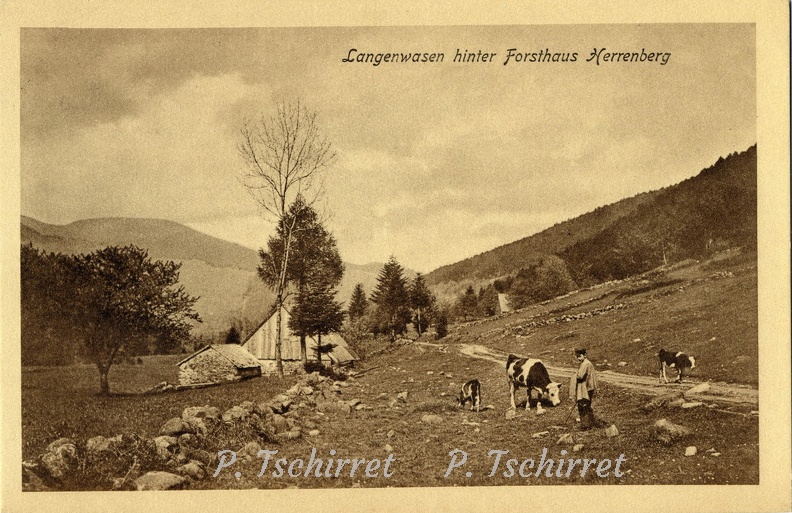 Mittlach-vue-Herrenberg-la-maison-foretiere-Langenwasen-Herrenberg
