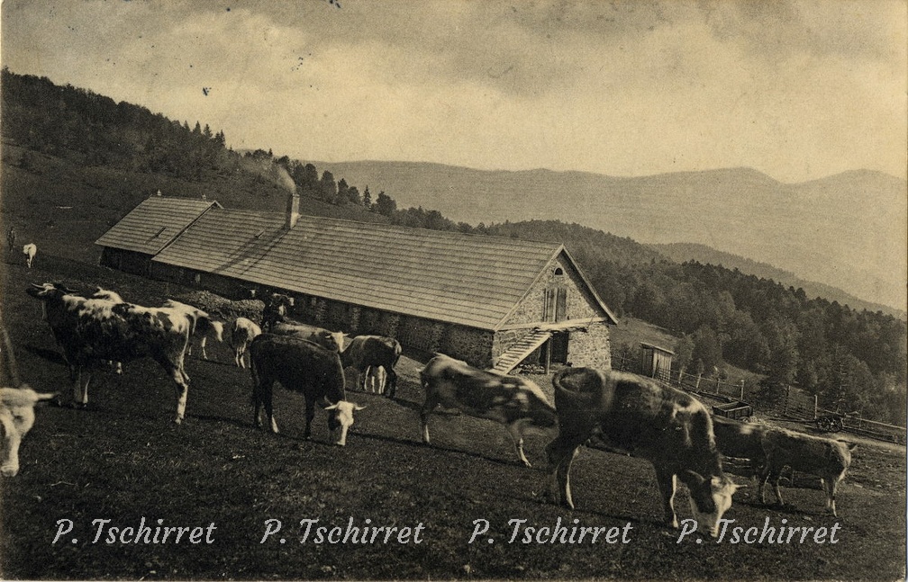 Ferme-du-Belacker-1911-1