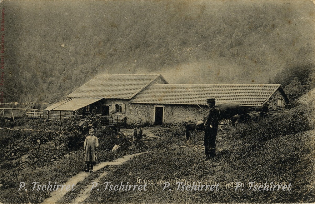 Ferme-du-Gazon-Vert-1911-2